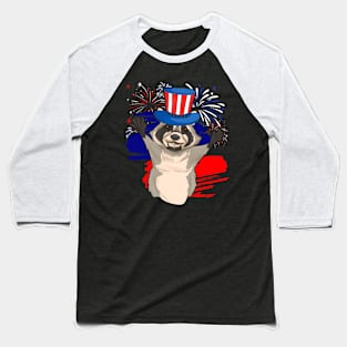 Patriotic American USA Raccoon Animal Lover 4th Of July Baseball T-Shirt